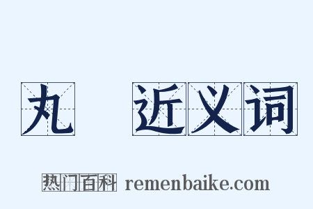 丸藥近义词是什么意思的图片